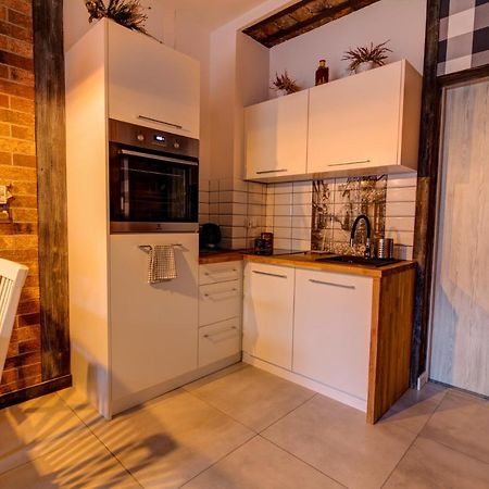 Apartamenty U Rybki Krynica - Zdroj ภายนอก รูปภาพ